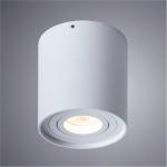 Накладной светильник A5645PL-1WH Arte Lamp