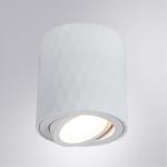 Накладной светильник A5559PL-1WH Arte Lamp