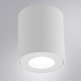 Накладной светильник Tino A1469PL-1WH Arte Lamp
