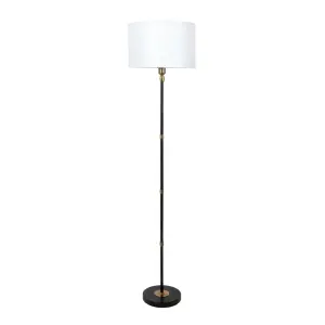 Торшер JAMIE A4090PN-1BK<br/> Arte Lamp