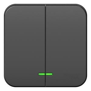 Выключатель 2-кл 10А О/У с индикатором изолирующая пластина Антрацит Blanca