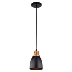 Подвесной светильник Eurica A4248SP-1BK Arte Lamp