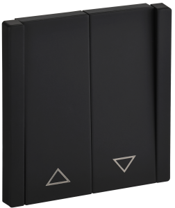 Выключатель 2-кл 10А С/У для жалюзи Металл Черный Forte&Piano