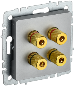 Розетка Аудио 4-м С/У Сталь Brite
