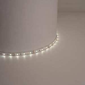 Лента светодиодная 12В  4,8 Вт/м IP20 60SMD/2835 3000К LS603 Feron