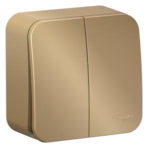 Выключатель 2-кл 10А О/У изолирующая пластина Титан Blanca