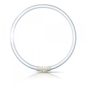 Лампа люминесцентная кольцевая MASTER TL5 Circular 22W/830 2GX13 PHILIPS