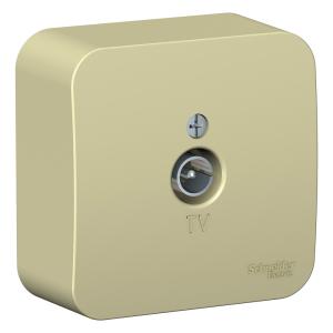 Розетка TV антенна О/У изолирующая пластина Бежевый Blanca