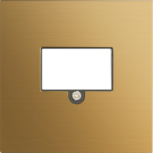 Накладка стандарта TAE для розеток USB HDMI Аудио Матовое золото R98 METAL Donel