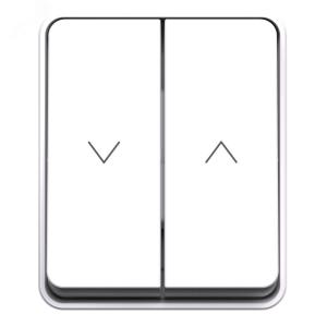 Выключатель 2-кл 10А О/У для жалюзи Белый AtlasDesign Profi54