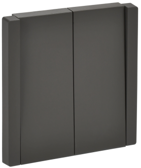 Выключатель 2-кл 10А С/У Серый Forte&Piano