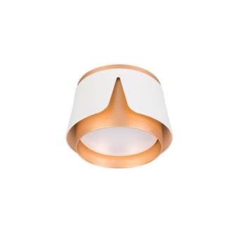 Потолочный светильник Amaks A8028PL-1WH Arte Lamp