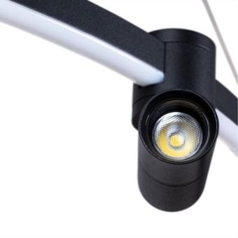 Подвесная люстра Ring A2186SP-1BK Arte Lamp