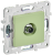 Розетка TV антенна С/У проходная Мятный Skandy