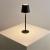 Настольный севтильник Fuyue A1614LT-1BK Arte Lamp