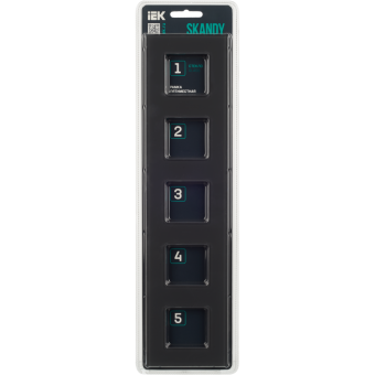 Рамка 5-я Стекло Графит Skandy