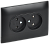 Розетка 2-м 10А С/У в сборе Черный Skandy