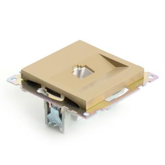 Розетка RJ-45 С/У Золото Катрин