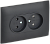 Розетка 2-м 10А С/У в сборе Титан Skandy