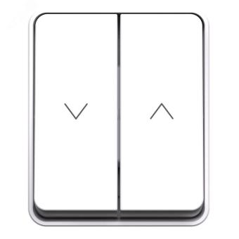 Выключатель 2-кл 10А О/У для жалюзи Белый AtlasDesign Profi54