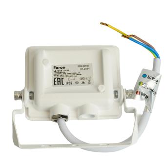 Прожектор сд LL-919  20W 6400K IP65 Feron