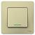 Выключатель 1-кл 10А C/У с индикатором Бежевый Blanca