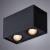 Накладной светильник A5544PL-2BK Arte Lamp