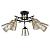 Потолочная люстра GLASSY A5078PL-5BK Arte Lamp