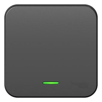 Выключатель 1-кл 10А О/У с индикатором изолирующая пластина Антрацит Blanca