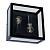 Потолочный светильник A4569PF-2BK Arte Lamp