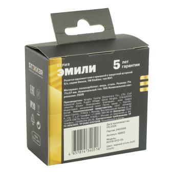 Розетка 1-м 16А С/У со шторками с крышкой IP42 Черный уголь Эмили