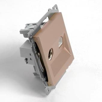 Розетка TV антенна + RJ45 С/У Шампань Катрин