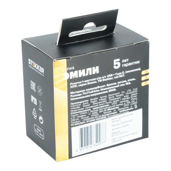 Розетка 1-м 16А С/У З/К со шторками+USB + Type C Платиново-серый Эмили