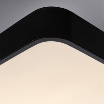 Потолочный светильник Scena A2663PL-1BK Arte Lamp