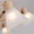 Потолочная люстра Meleph A4096PL-5BR Arte lamp