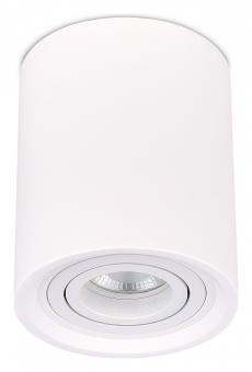 Накладной светильник Gipsum ST156.502.01 ST-Luce