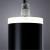 Подвесной светильник Altais A6110SP-2BK Arte Lamp