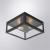 Потолочный светильник A4569PF-2BK Arte Lamp