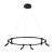 Подвесная люстра Ring A2186SP-1BK Arte Lamp