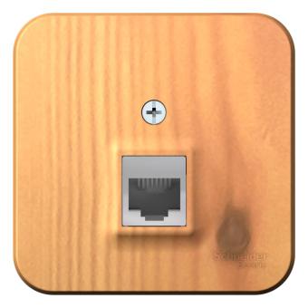 Розетка RJ45 кат.5Е О/У изолирующая пластина Ясень Blanca