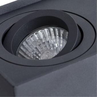 Накладной светильник A5544PL-2BK Arte Lamp