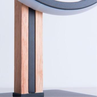 Настольная лампа Fluido A3913LT-10BK Arte Lamp