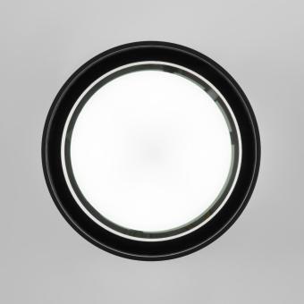 Потолочный светильник Light 35144/H черный Elektrostandard