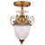 Потолочный светильник Schelenberg A4410PL-1SR Arte Lamp