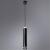 Подвесной светильник Altais A6110SP-2BK Arte Lamp