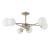 Потолочная люстра A2703PL-6SG Arte Lamp