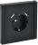 Розетка 1-м 16А С/У З/К со шторками+USB A+А 3,1А винтовое крепление Черный Forte&Piano Розетка 1-м 16А С/У З/К со шторками+USB A+А 3,1А винтовое крепление Черный Forte&Piano