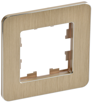 Рамка 1-я Металл Шампань RE AL Brite