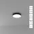 Потолочный светильник Fado A6635PL-1BK Arte Lamp