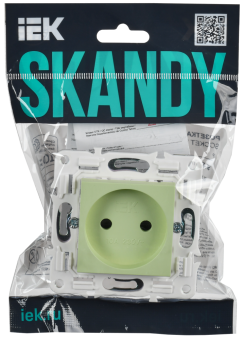 Розетка 1-м 10А С/У со шторками Мятный Skandy